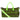 Von Dutch “Espresso Lime Monogram” Weekend Duffle